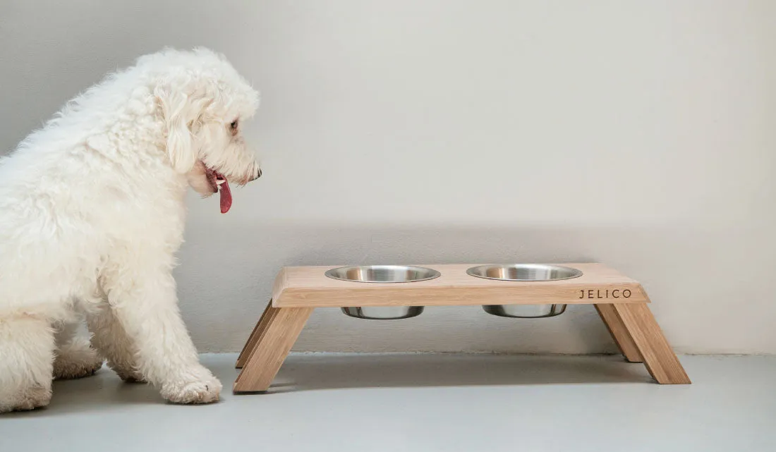 Bentley Elevated Bamboo Pet Feeder