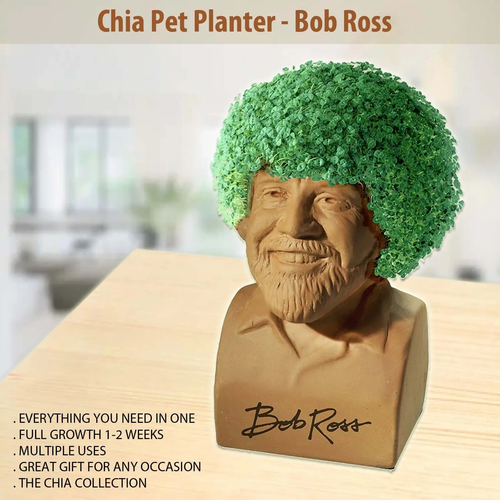 Chia Pet Planter - Bob Ross