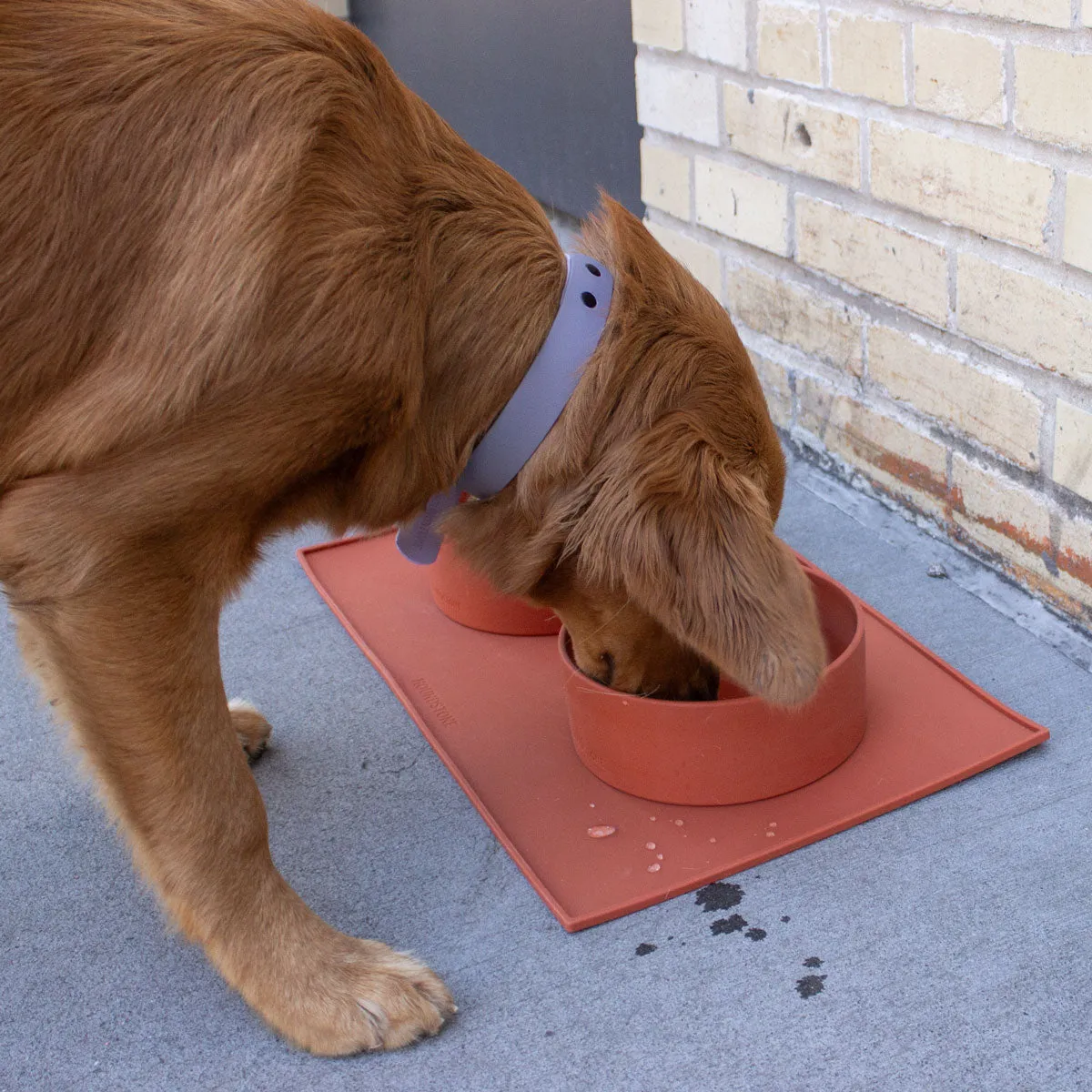 Food Grade Silicone Dog Bowl - Pink, 4.5 Cups Volume, Dishwasher Safe, Non-Slip