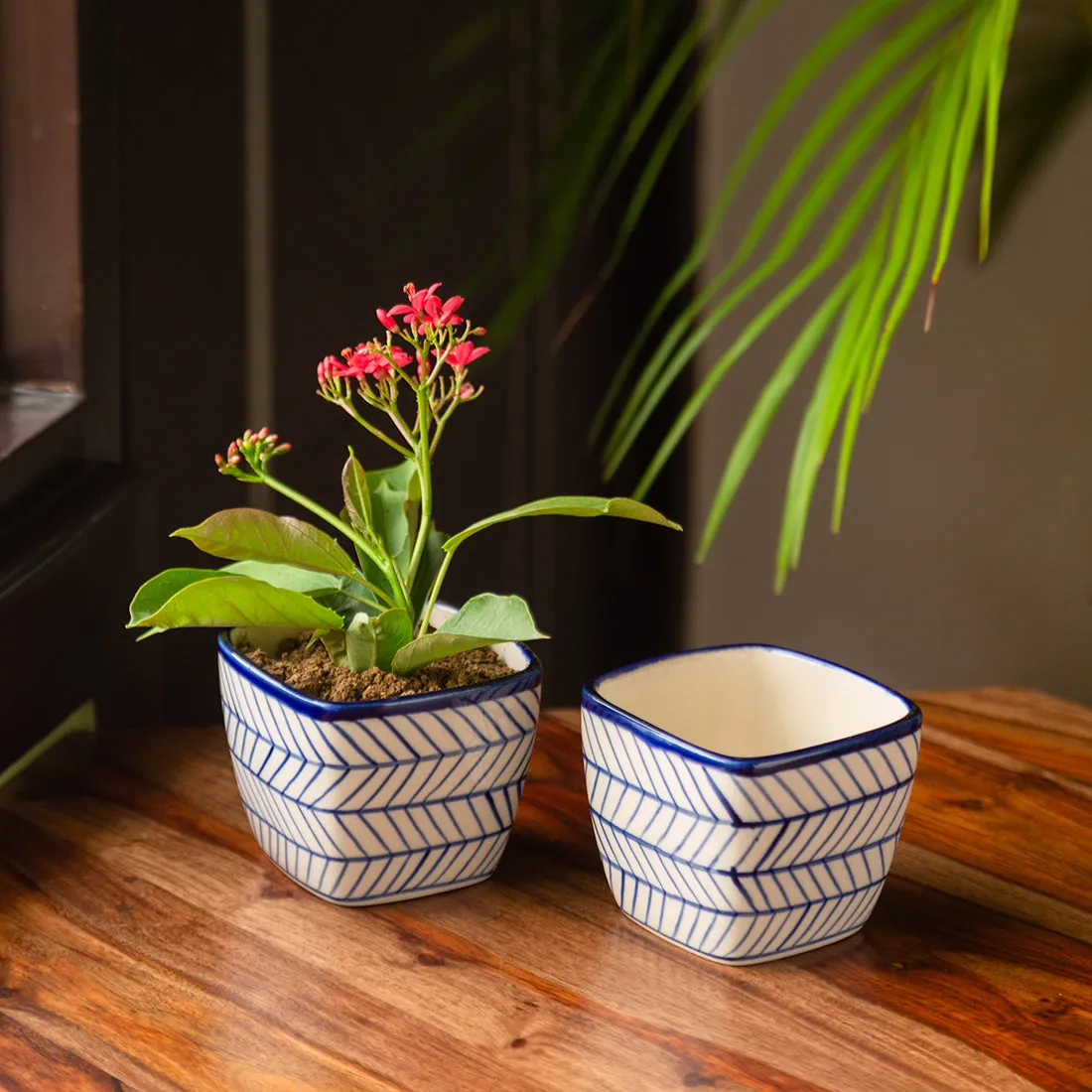 'Indigo Chevron Duo' Hand-painted Ceramic Cuboidal Table Planter Pots (9.4 cm, Set of 2)