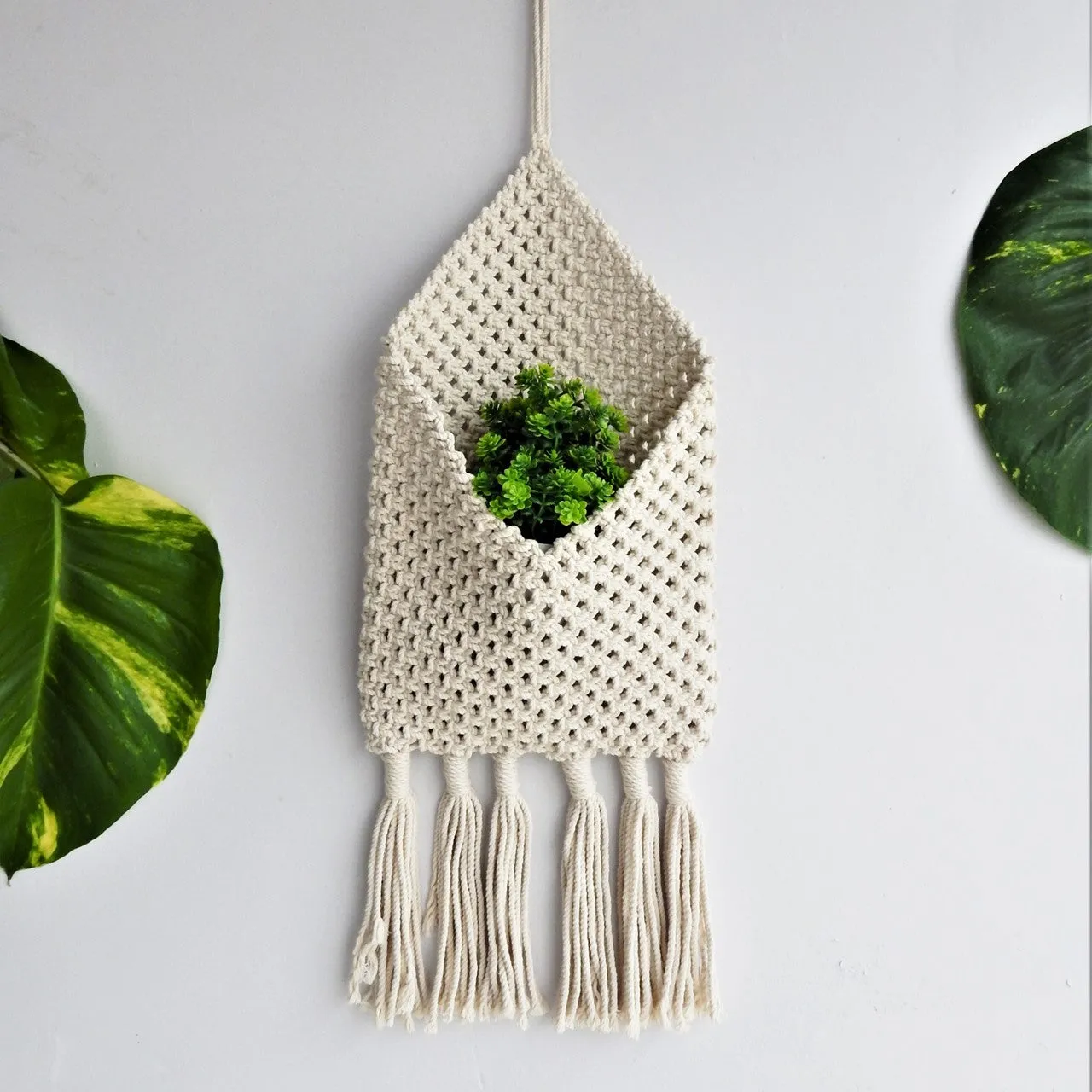 Macrame Wall Holder