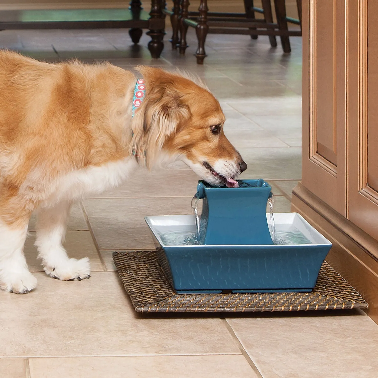 PetSafe Pagoda Fountain (& Replacement Filters)