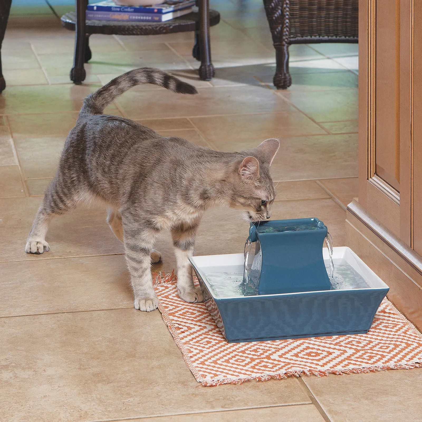 PetSafe Pagoda Fountain (& Replacement Filters)