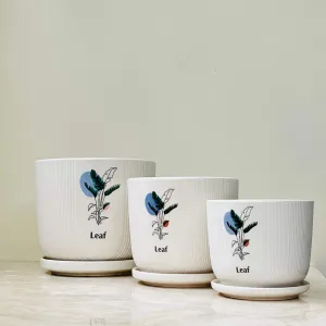 White Ceramic Planters with Leaf Design (Set Of Three)