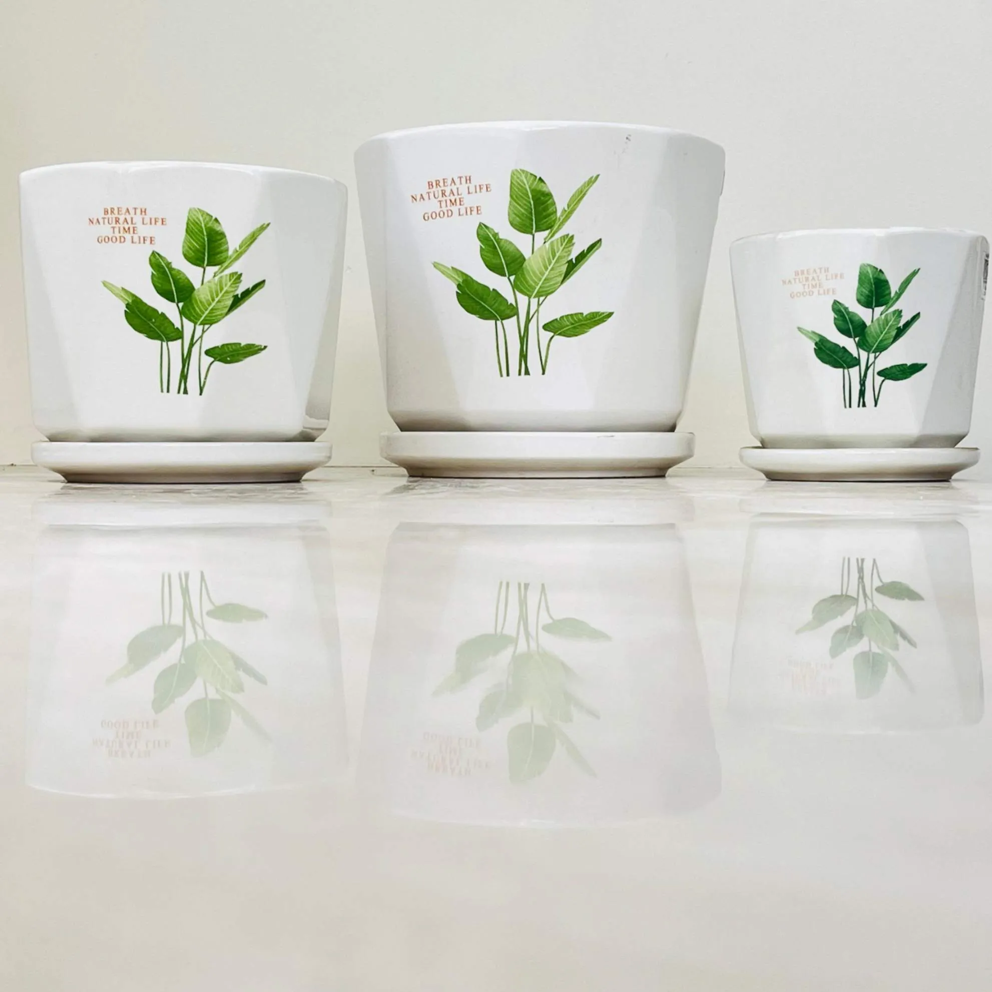 White Ceramic Pots with Artistic Green Leaves (Set Of 3)