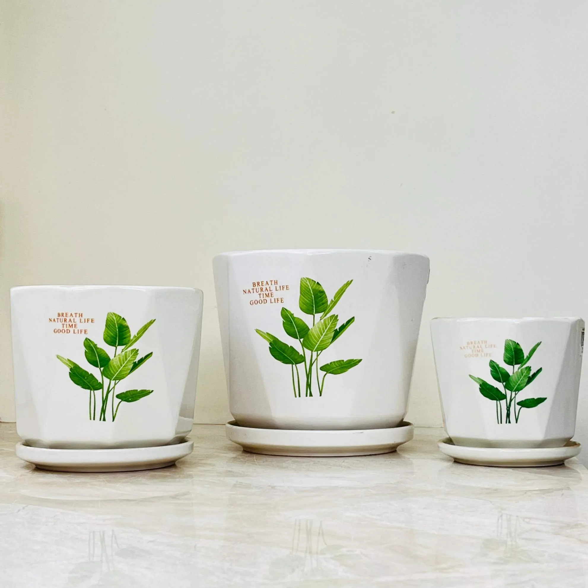 White Ceramic Pots with Artistic Green Leaves (Set Of 3)