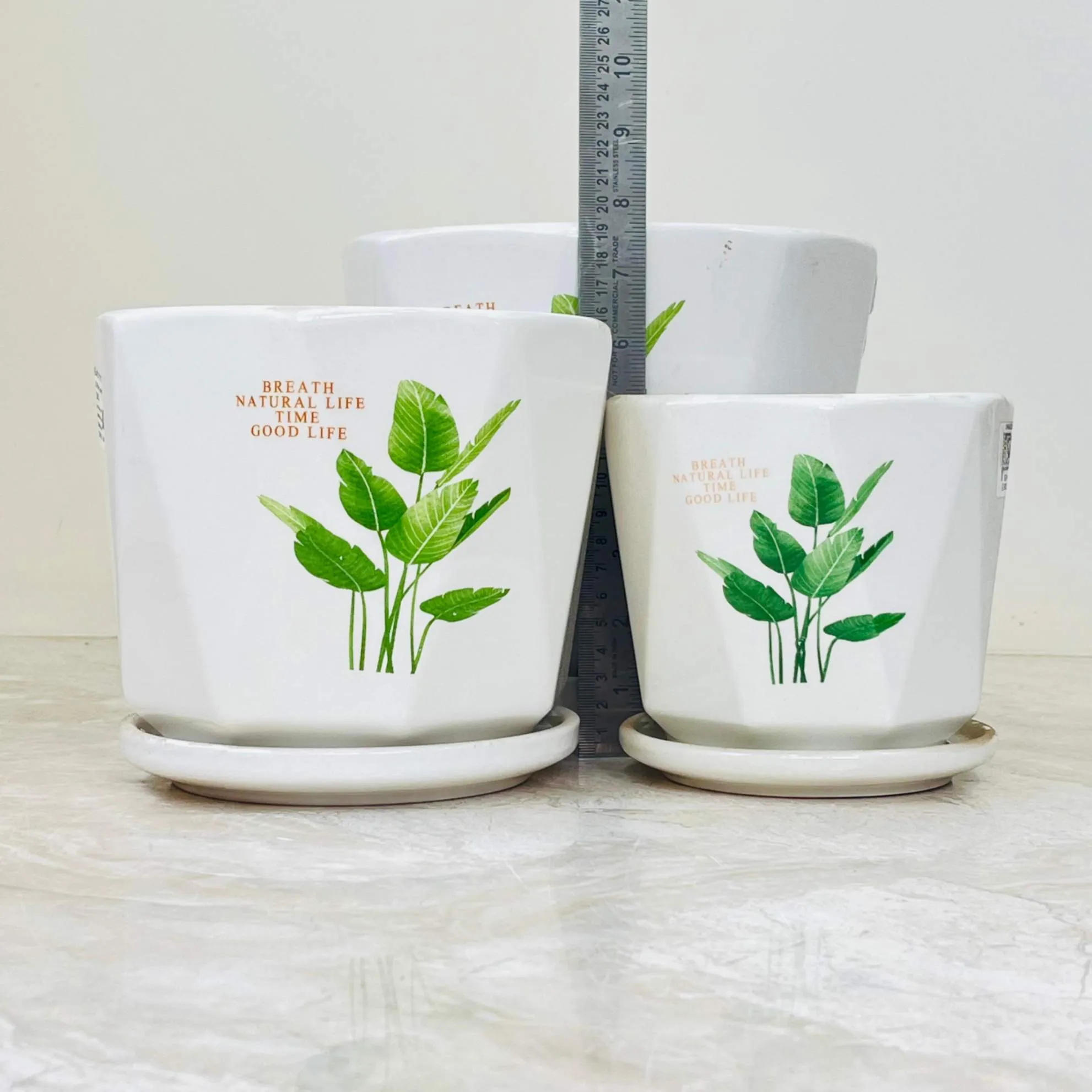 White Ceramic Pots with Artistic Green Leaves (Set Of 3)